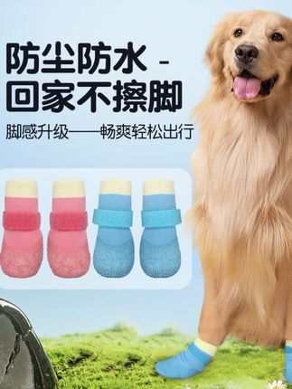 #狗狗鞋子#四季通用宠物鞋#狗狗脚套#柴犬比熊鞋柯基犬#防滑防水耐磨