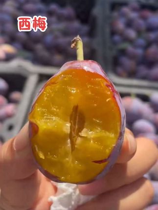 终于成熟了!#西梅 营养丰富,口感绝佳,是孕妈妈、爱美小姐姐和健身人士的心头好 #新鲜西梅 #孕妇水果 #女神水果