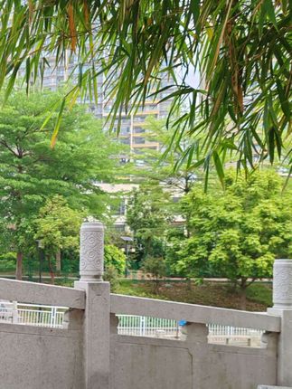 #邓紫棋香港演唱会#张予曦#毕雯珺#深情眼#北京下雨
