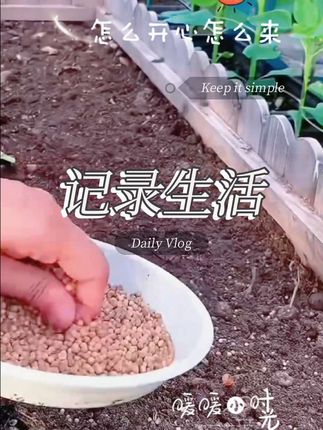 #家庭种植 #在家种菜 #记录生活中的小美好 #快乐分享 #记录我的生活