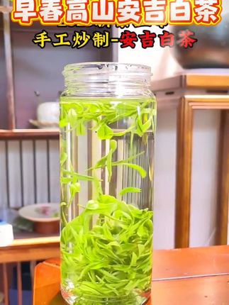 明前早春这款高性价比的 #安吉白茶 ,泡出来茶汤清澈透亮,喝在嘴里鲜爽回甘,还支持开罐试喝,送运费险 #安吉白茶 ,泡出来茶汤清澈透亮,喝在嘴里鲜爽回甘,还支持开罐试喝,送运费险#茶叶#召唤茶友