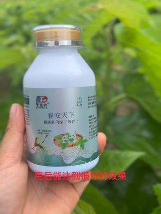 用了春安天下叶面肥之后桑叶增产20%,、促生长、强生根,抗病抗旱,一喷多效,亩产翻番!喷一喷=追肥+防虫,桑叶油绿不发黄!#种桑养蚕#乡村果粒陈