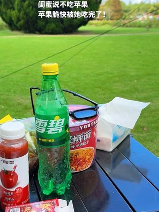 去秋游啦 #苹果脆片 #零食对我下手了 #野餐必备