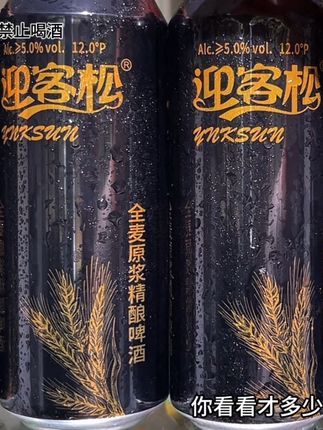下班聚会微醺来一瓶,真的不要太爽了#精酿啤酒 #微醺时刻 #好喝不贵 #喝出新高度 #迎客松