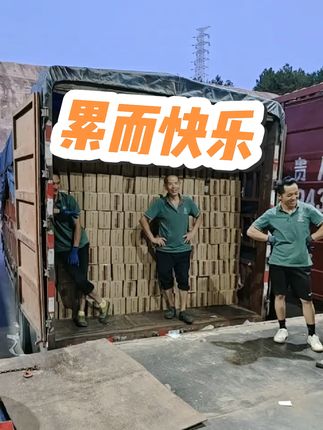 累而快乐着,有份活儿干着,心里就踏实,普通人要求就这么低#遇见最美劳动者 #太不容易了 #努力搬砖 #洗衣液推荐