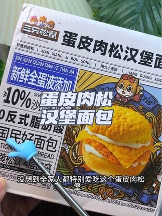 拯救你的早餐 三只松鼠新出的蛋皮肉松堡真的太好吃了!咬下去一口爆浆,奶香混合着肉松的咸香!真的太赞了👍#三只松鼠 #蛋皮肉松面包 #蛋皮肉松汉堡 #早餐面包