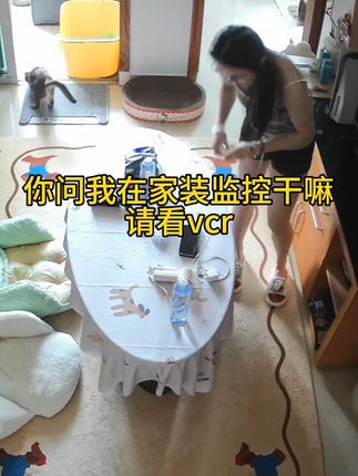别问养猫人在家装监控干什么 省钱 7.26号的库存