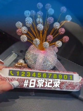 这个临时停车牌真的太漂亮了,采用的是高端的烤漆工艺,而且上面还镶嵌了施华洛世奇的水钻。#视频同款 #车载停车牌