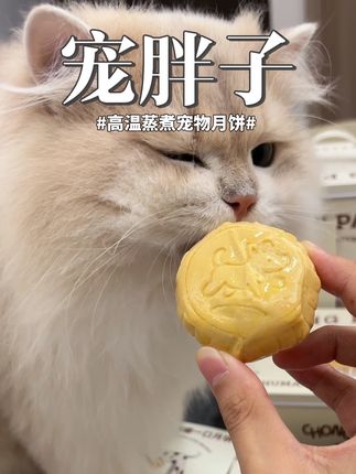 今年中秋别再买月饼冻干了,试试这个高温蒸煮的鲜肉月饼,毛孩子特别爱吃!#中秋 #是宠物更是家人 #新手养猫 #养猫进阶指南