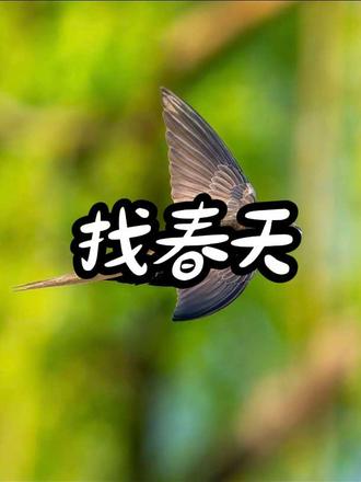 #二年级语文下册 找春天课文预习#二年级 #寒假预习 #科普知识 #小学语文