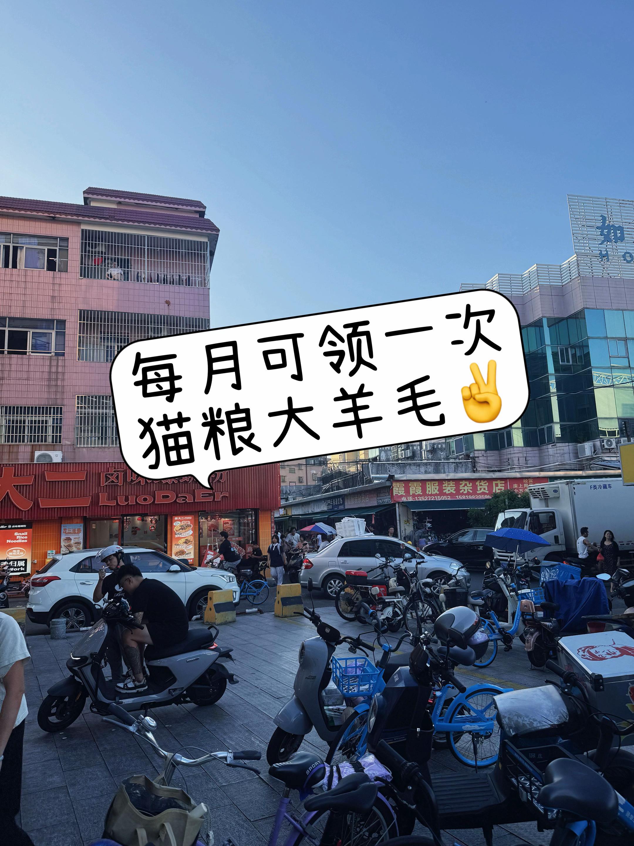 猫粮大羊毛来了!高爷家高端鲜蒸猫粮10包试吃到手足足1斤!关键才这个价!#高爷家猫粮 #新手养猫