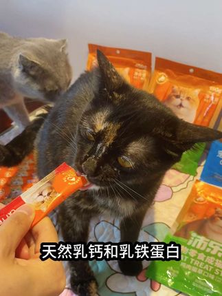 9块9就能到手20根含有天然鱼油的猫条,赶紧去给小猫冲 #猫咪零食推荐 #猫条 #新手养猫