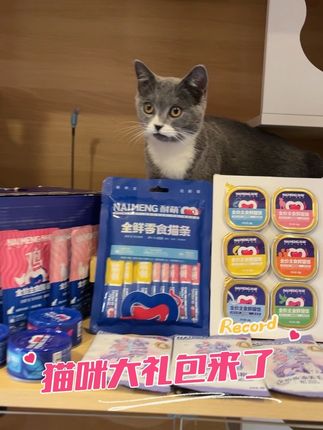 蓝猫工作室推荐猫咪大礼包来了 #蓝猫工作室#猫咪#猫条#猫罐头#猫饭