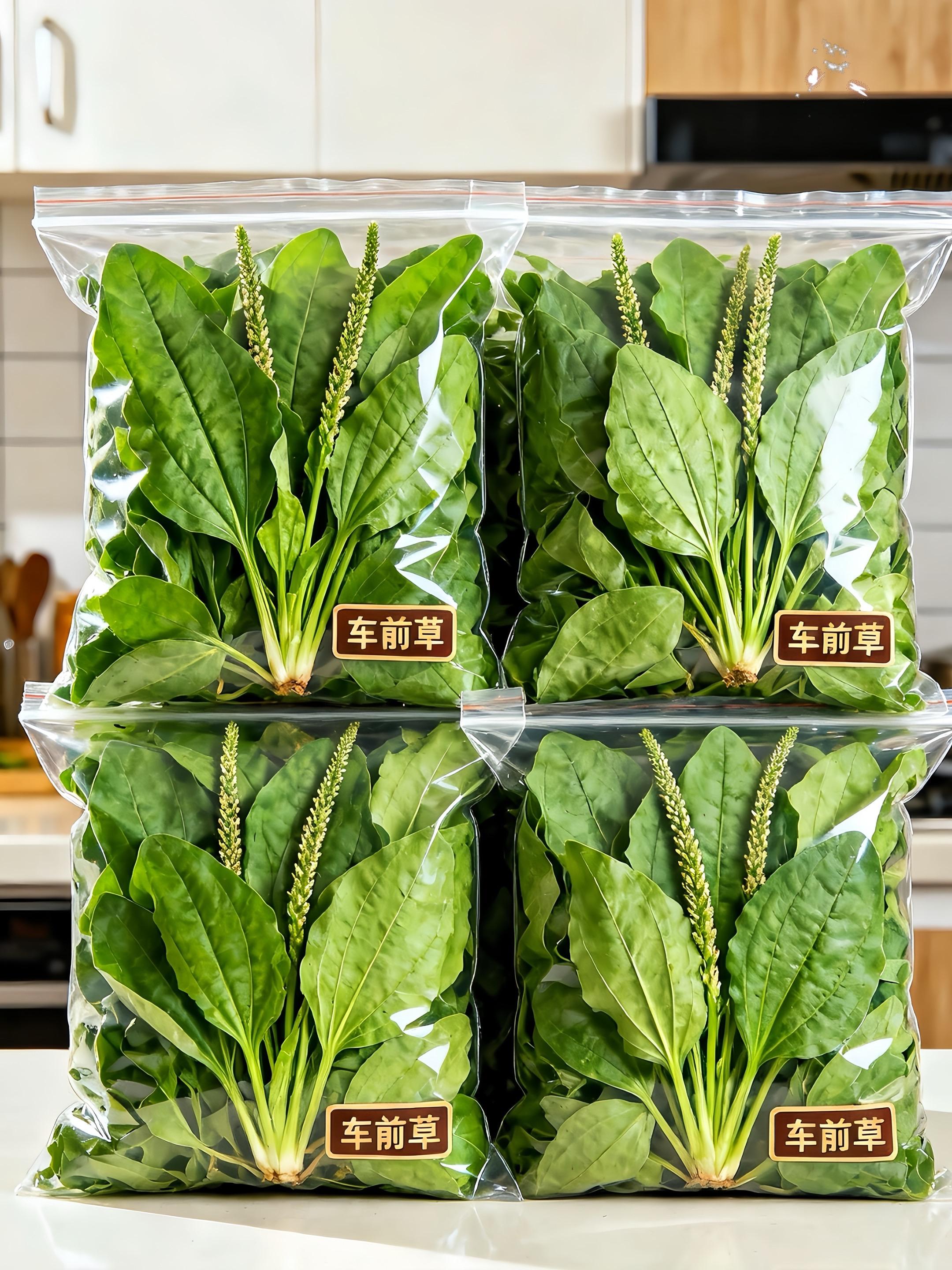 车前草,挑叶片饱满、带细长穗状花序的车前草,轻轻掐下整株,抖净根部泥土。回家后摊在竹筛上晾干水汽,再移到铁锅中小火慢炒,守着灶火不停翻动,足足1小时 取一小撮炒好的车前草放进玻璃杯,冲上热水,看叶片在水中舒展。静待片刻,茶汤渐成浅黄,捧杯轻啜,满口都是草木与烟火交融的清润。#车前草#车前草茶#养生茶#喝出来的健康#车前草的妙用