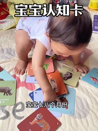 七八个月是宝宝认知发育的高峰时期 一定要提前准备上这种实物图片的认知卡 帮助宝宝更好的认识和学习 #宝妈推荐 #早教益智玩具 #启蒙早教#认知卡 #认知卡片