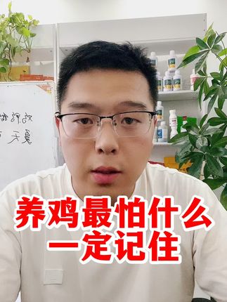 养鸡最怕什么,养鸡三一定要知道#鸡鸭鹅养殖 #养鸡技术 #散养土鸡 #农村养鸡 #养鸡