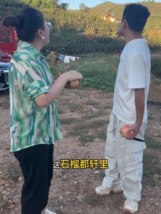#记录真实生活 四川会理石榴基地实拍!自然成熟,现摘现发、突尼斯软籽石榴,颗粒饱满、满口爆汁!