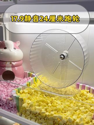最小号几块钱,24厘米跑轮也只要17块9,而且包邮有运费险,还带支架! 静音效果还好!就很合适睡觉受不了声音的养鼠人。#仓鼠跑轮 #仓鼠用品 #新手养鼠 #仓鼠 #金丝熊