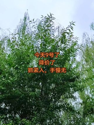#省钱#省钱攻略#优惠活动火爆进行中#超便宜超划算