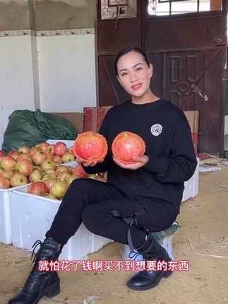 突尼斯软籽石榴果王