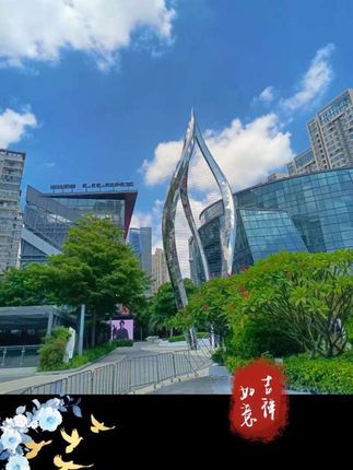 腌渍蘑菇 东北特产野生腌渍鲜榛蘑山货山珍无防腐剂 500克*2罐#蘑菇#东北蘑菇 #野生菌 #榛蘑 #蘑菇怎么炒好吃