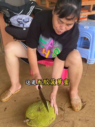 树菠萝很多人说没吃过,想要尝尝,开一个给大家看看,全是苞,特别甜,特别香! #树菠萝 #无胶菠萝蜜 #广东菠萝蜜