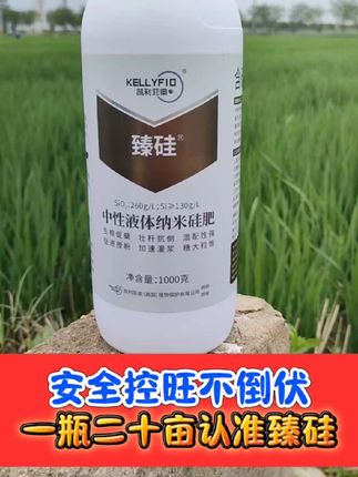 水稻安全控旺抗倒增产必备臻硅 臻硅一瓶二十亩,薄利多销