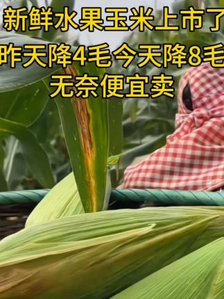 我们的玉米都是每天清晨从地里采摘下来的,保证新鲜,吃起来甜甜的,味道很好,喜欢的朋友可以买一些回家尝一尝。如果你想要吃到这么好吃的玉米,那就赶紧下单吧,我们马上给你发货!#强烈推荐 #农产品 #玉米 #粗粮 #水果玉米 @DOU+小助手