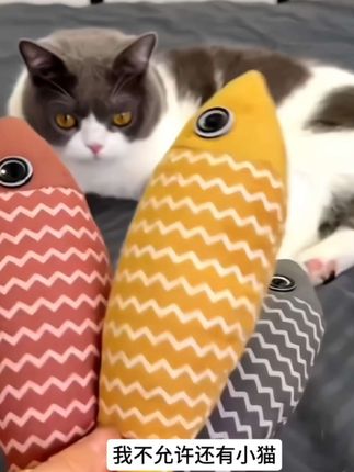 猫薄荷鱼玩具猫狗都爱玩#铲屎官的乐趣 #猫玩具#猫薄荷#逗猫神器 #毛孩子也是孩子