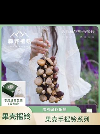 果壳摇铃 果壳串手摇铃植物果壳风铃伴奏铃音疗乐器#文玩爱好者 #宝藏好物打卡 #送礼物 #风铃