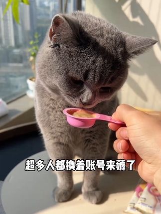 平时贵贵的佳乐滋金勺也有9块9试吃了,一人限购一单,可得给猫咪尝尝#佳乐滋金勺#佳乐滋 #猫零食