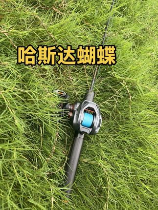 哈斯达蝴蝶富士版 非常适合玩溪流微物 钓马口 掏桥洞钓翘嘴 黑橙配色非常好看 发声轮座非常清脆#哈斯达蝴蝶 #哈斯达蝴蝶富士竿