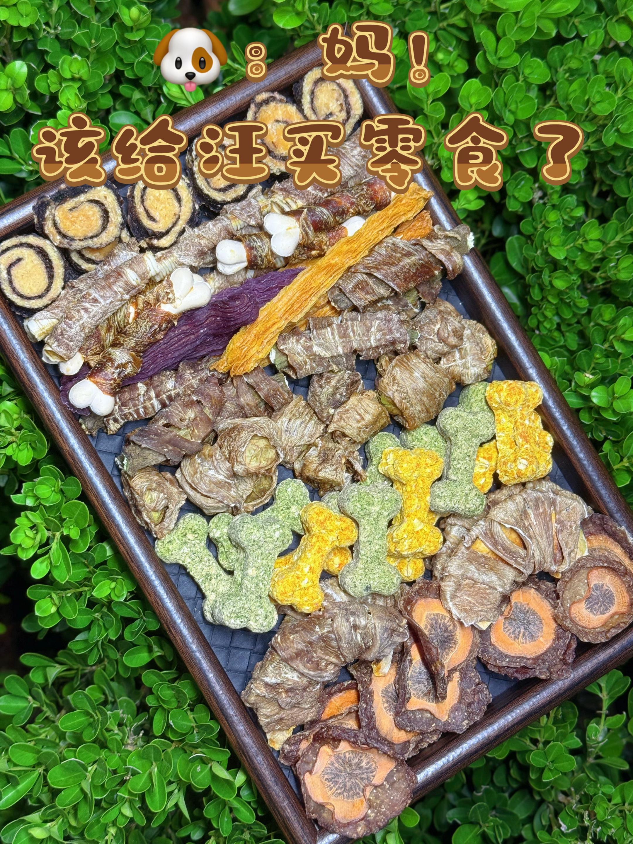🐶:妈!该给汪买零食了。#宠物零食自制 #宠物零食 #狗 #它不香吗 #宠物磨牙棒