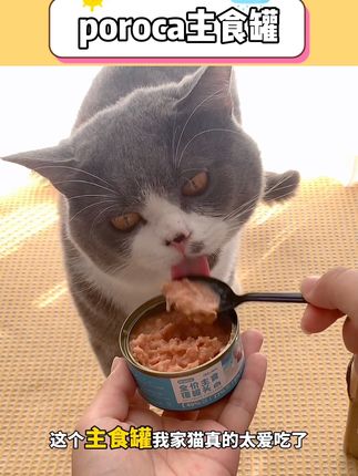 快给家里主子安排上#主食罐 #猫咪罐头 #全价主食罐 #猫咪主食罐 #猫咪罐头推荐