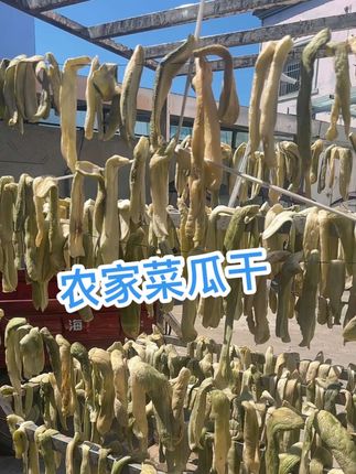 六安农家酱香菜瓜干,儿时的味道 纯盐腌制更醇香#新农人计划 #优质农产品 #农村生活 #我的农村生活 #野生鱼