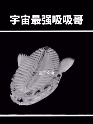 海洋界最会摸鱼的生存大师#探索宇宙 #神秘的生物#奇闻趣事 #神奇的大自然