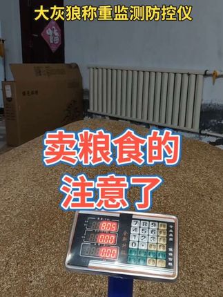 需要大辉狼称重监测防控仪的 下↓方小黄车可以下单328