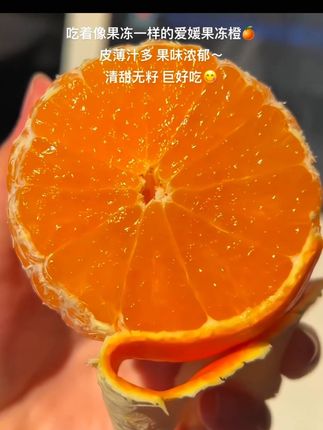 果肉像果冻一样细嫩的爱媛果冻橙🍊!皮薄如纸,清甜多汁还没有籽!直接吸着吃😋果味浓郁,甜而不腻,让人一口沦陷!#爱媛果冻橙 #橙子 #口感特别好 #新鲜采摘 #在抖音入手的好东西