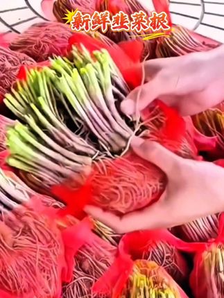 #韭菜根#现挖现发韭菜根#好物推荐🔥