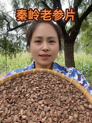 秦岭发汗老参,泡水煲汤老好了#农产品 #秦岭老参 #当季头茬新货 #原产地直发