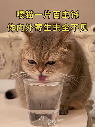 #科学养宠攻略 #萌宠出道计划 #萌宠 #猫咪 #驱虫