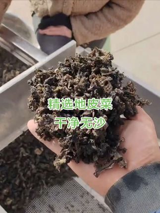 秦岭特产地皮菜#农产品 #特色农产品 #原产地 #土特产 #地衣菜