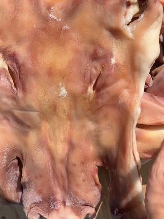 安徽寿县手工腌制晾晒咸香去骨猪头皮 #寿县 #猪头皮 #咸猪脸 #腊肉#咸货