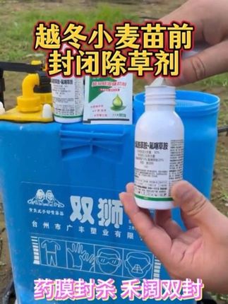 小麦苗前封闭除草剂 双元复配 禾阔双封 封杀彻底 看麦娘、野燕麦、猪殃殃、播娘蒿…等等都可以用 #小麦 #小麦种植#小麦苗前封闭除草 #苗前封闭除草剂 #除草剂 @DOU+上热门 @DOU+小助手