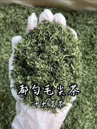 #贵州毛尖茶 #都匀毛尖 #绿茶#新茶#口粮茶推荐