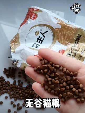 金装无谷幼猫粮,20年老品牌,猫咪爱吃,适口性好,每人限购一份#萌宠好物 #新手养猫  #好主人#央视严选 #幼猫粮