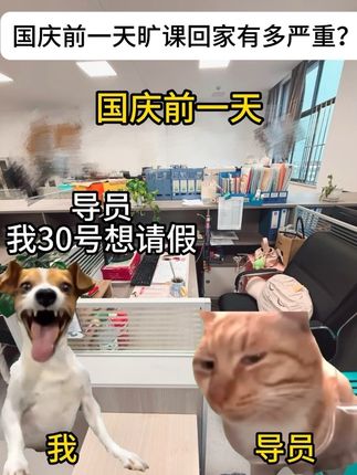 居然有人觉得这个是假的?#猫meme #国庆节 #大学生