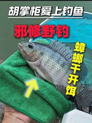 所以你们那的鱼吃蟑螂吗??#邪修钓鱼 #火腿肠钓鱼 #原来钓鱼才是抖音运动顶流 #dou是钓鱼人 #钓鱼方法