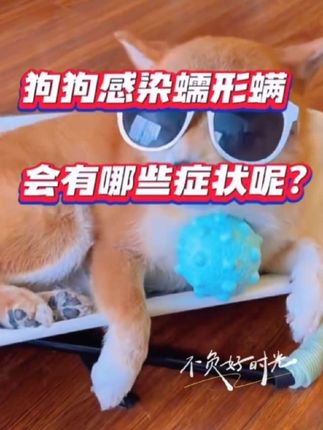 狗狗蠕形螨 宠物菌螨康 今济康菌螨康猫咪斑秃掉毛苔藓红肿结痂猫狗温和可舔不伤宠喷剂#宠物用品 #狗狗蠕形螨#宠物菌螨康#宠物皮肤喷剂#百合爱好物