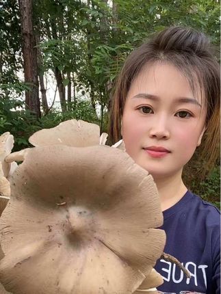 #鸡纵菌 #大自然的馈赠 2小时的结果,收获满满!